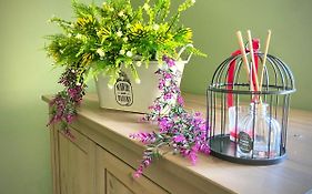 Cosy Chouette